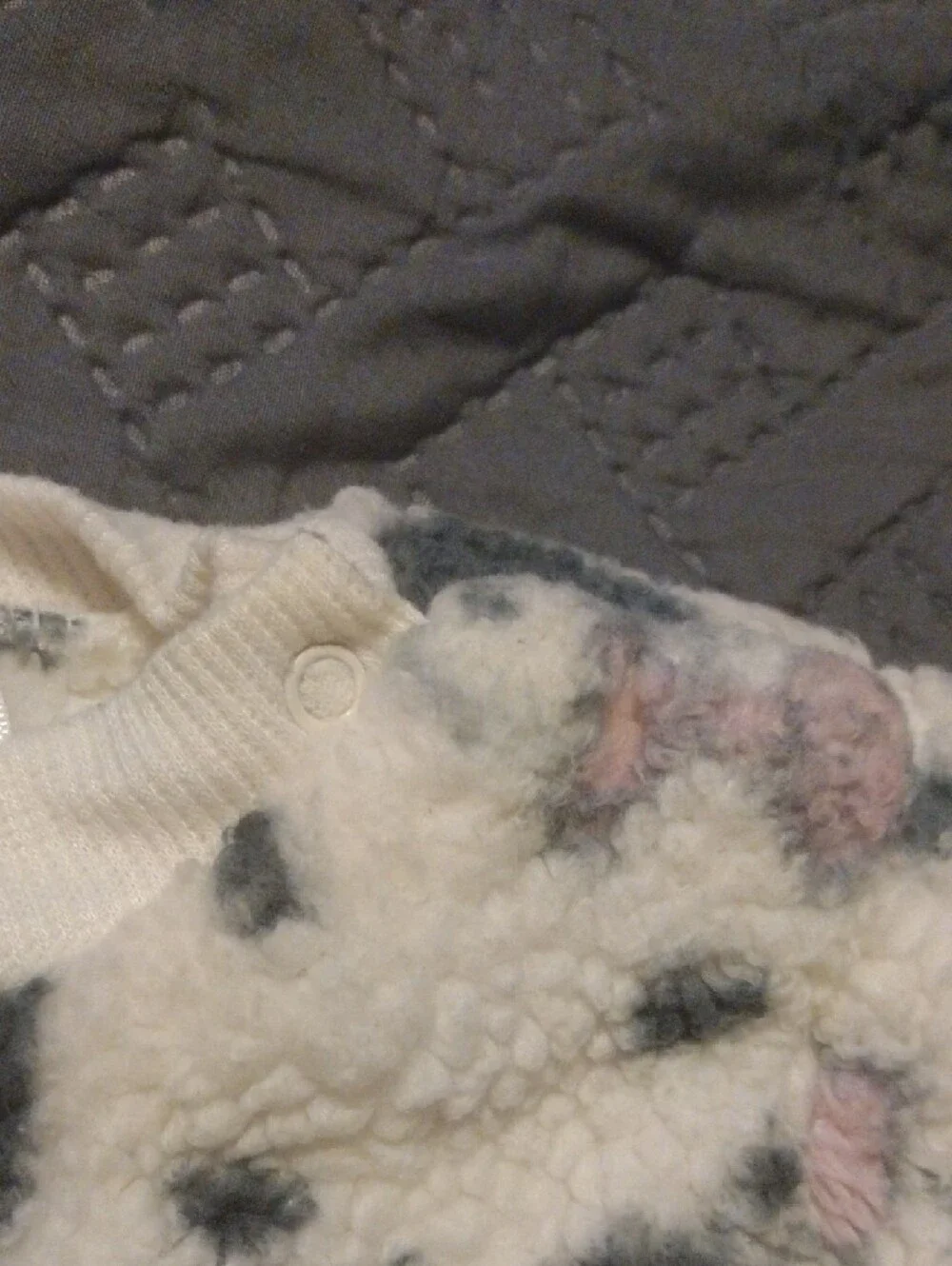 Cozy Cream Sherpa Baby Sweatshirt & Joggers Set with Spot/Dalmatian Dog Print